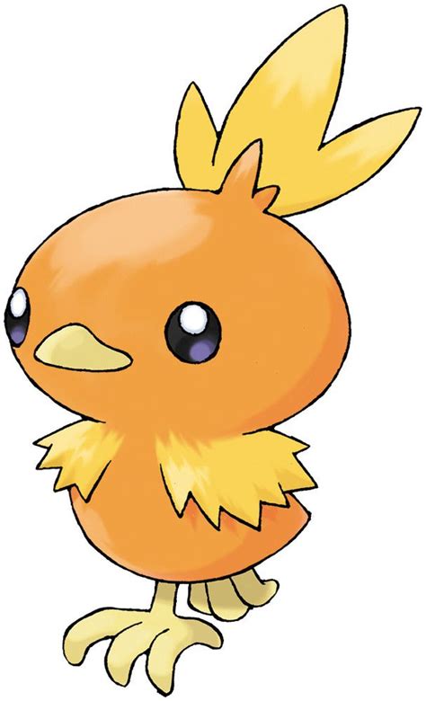 Torchic Pokédex: stats, moves, evolution & locations.